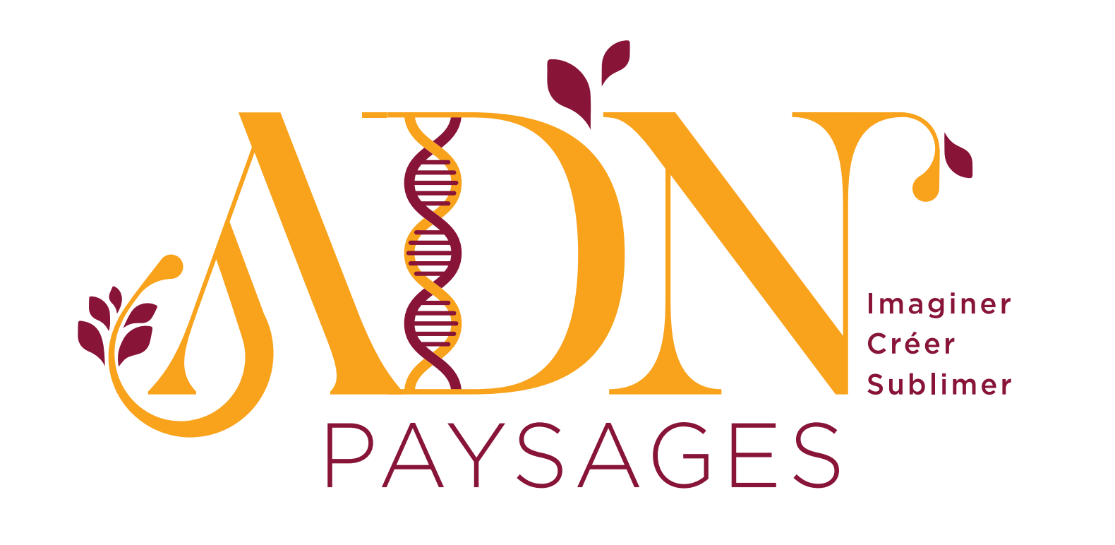 adn logo